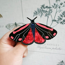 Load image into Gallery viewer, Cinnabar Moth Acrylic Brooch
