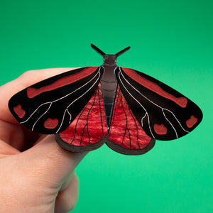 Cinnabar Moth Acrylic Brooch